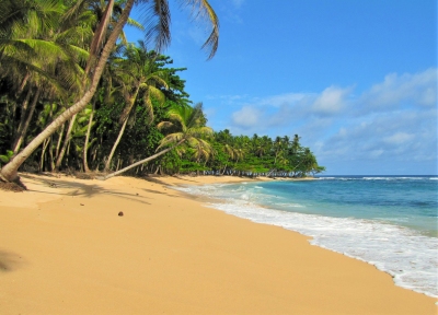 Sao Tome Praia (Chuck Moravec)  [flickr.com]  CC BY 
Información sobre la licencia en 'Verificación de las fuentes de la imagen'